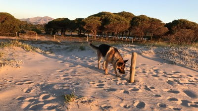 Budoni Fidobeach Strand